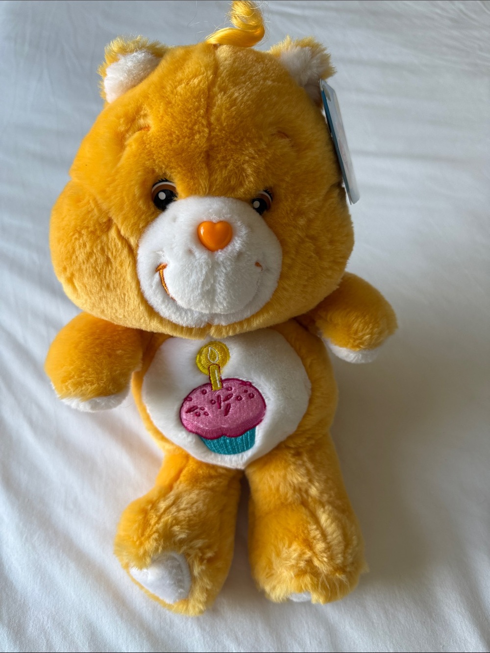 Care Bears  Birthday Bear Plush